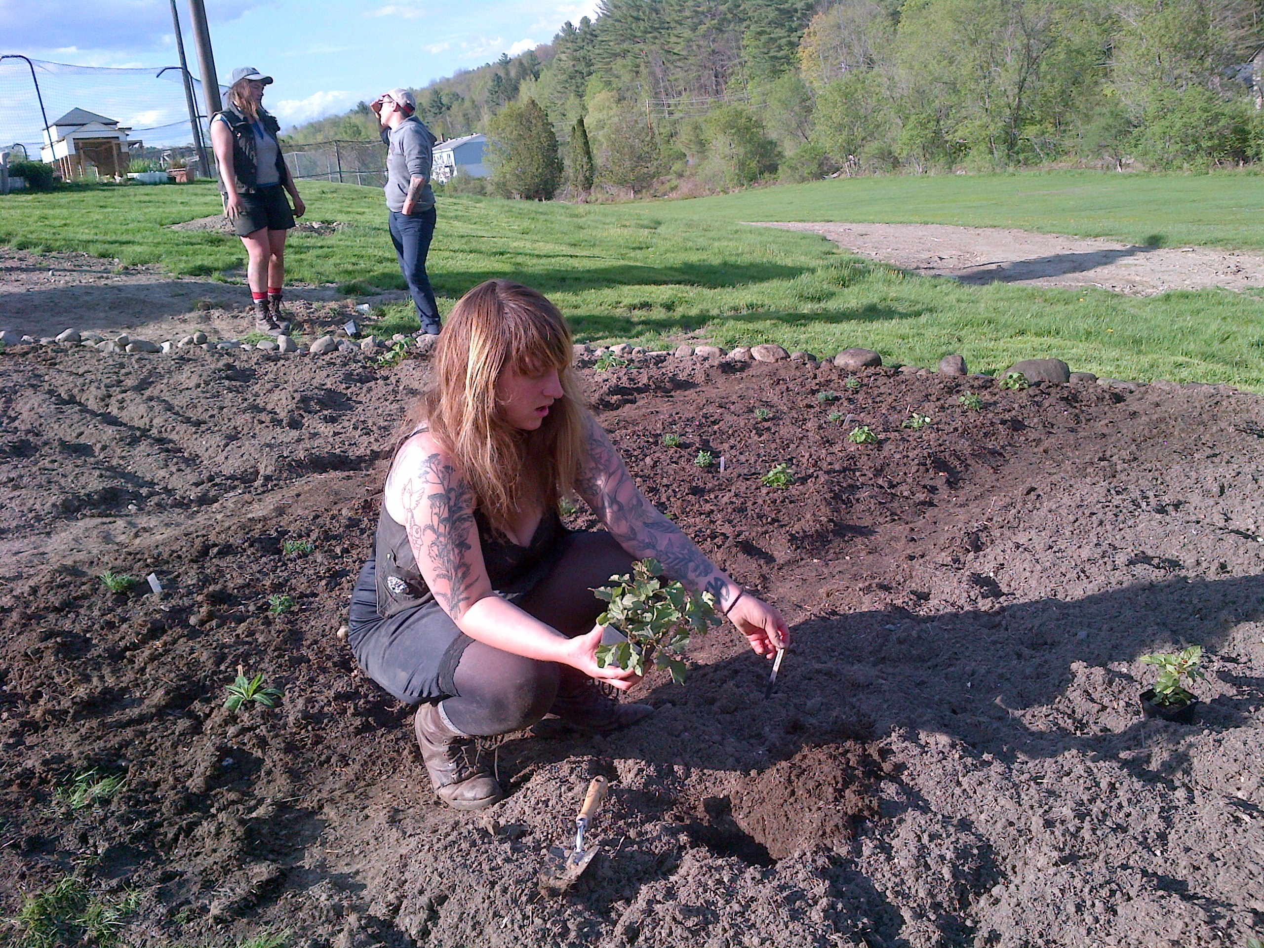 Lroy makes first plantings in herb garden
