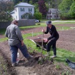 Cindy & Bernice dig holes for planting beefsteak tomatoes