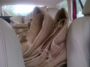 Back of station wagon full of coffee bags