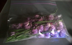 Purple scallion flowers in a bag