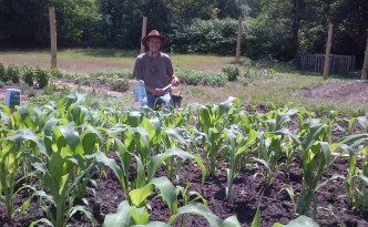 Jason plants seeds in the 3rd section of corn.