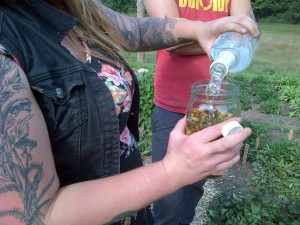 Lroy pours vodka into a jar of spilanthes buds the gardeners harvested