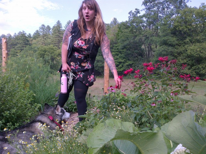 Herbalist indicates echinacea flowers growing beside bee balm while a husky dog rests at her feet