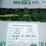 082114 Box with 11 pounds of gleaned kale