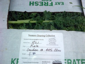 Eleven pounds of kale in this box.