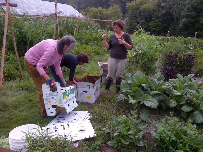 Two women assemble boxes in the garden while a third gives instruction