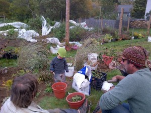 092214 Cindy, Collin & son in perennial bed