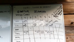 052615 Watering chart