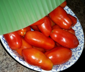 090515 Tomatoes ripening indoors3