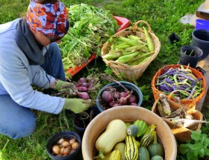 After working hard, Alison stopped to take home a food share before departing.