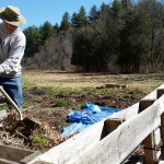 2016-04-30 Steven Gold shovels compost.28