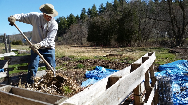 2016-04-30 Steven Gold shovels compost.28