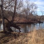 North Branch River by Ned Swanberg