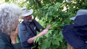 2016-06-21 Ned describes a tree.16