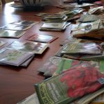 2017-03-17 Indoor seed packet organizing.50