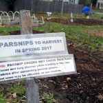 2017-04-20 Parsnip warning sign.17