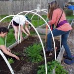 2017-05-16 Claire, Diana & Kelly dig herb bed.54
