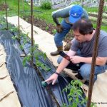 2017-05-30 Chris & Leo measure tomato soil moisture.22