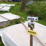2017-05-30 Delicata squash boxes.48