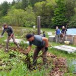 2017-05-30 Weeding Bed 4, Turning Compost.41