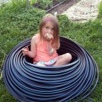 2017-06-13 Maya eats in drip hose nest.10