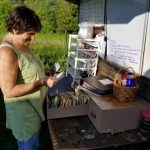 2017-06-18 Susan selects seeds.28