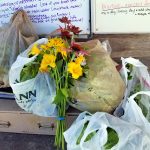 2017-07-05 Food donation on garden shed table.42