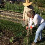 Chris trains Bonnie on watering by Irina
