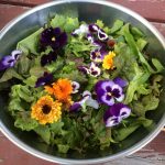 Garden salad by Irina
