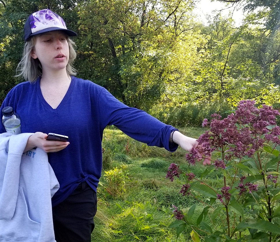 Free Herb Walk on Independence Day Morning