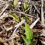 2018-04-22 WHAT IS THIS.18