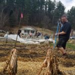 GardenELM2_big