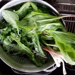 2018-05-15 Ramps and French Sorrel.56