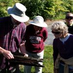 2016-09-17 Examining dragonfly larva on wood from river.45