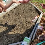 Lisa-shows-anthony-how-many-fingers-apart-to-plant-radishes-4-10-2021-5-37-12-PM