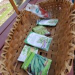 Pea-seed-packets-in-basket-4-10-2021-5-33-03-PM