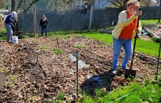 Gardeners edge grass away from an unplanted garden bed