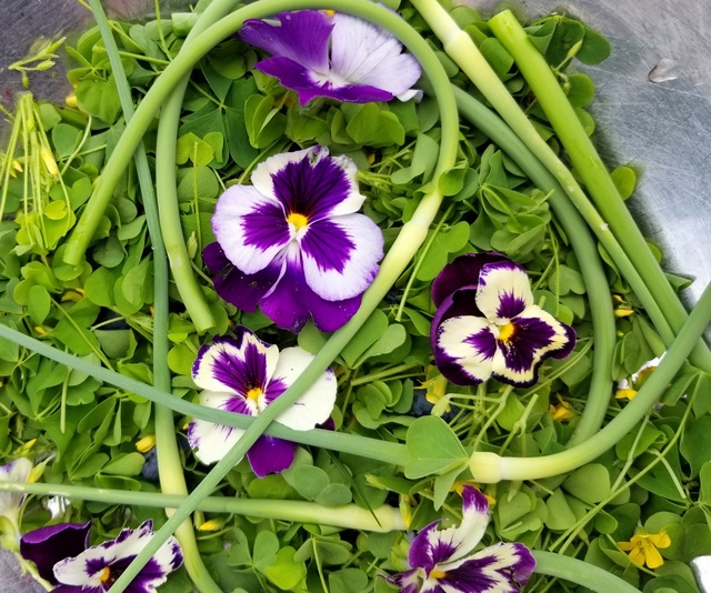 Garden task: Harvest and eat garlic scapes