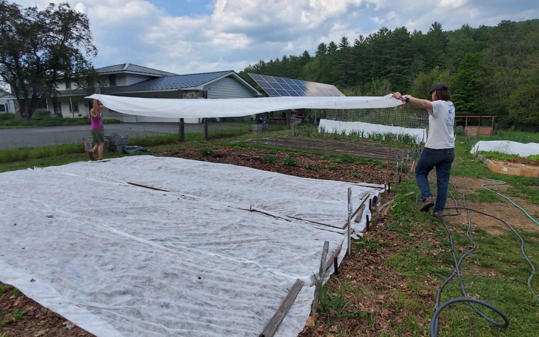 Undercover Gardening