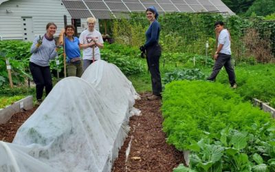 In Which College Students Transform the Garden