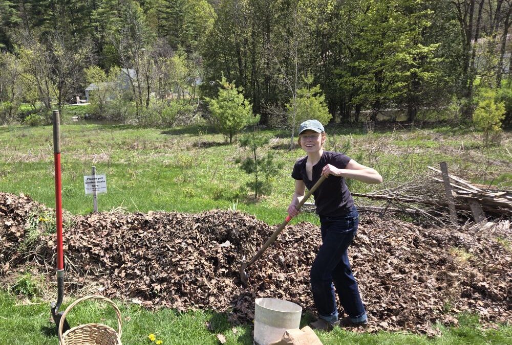 Planting Potatoes in Trenches and Elsewhere