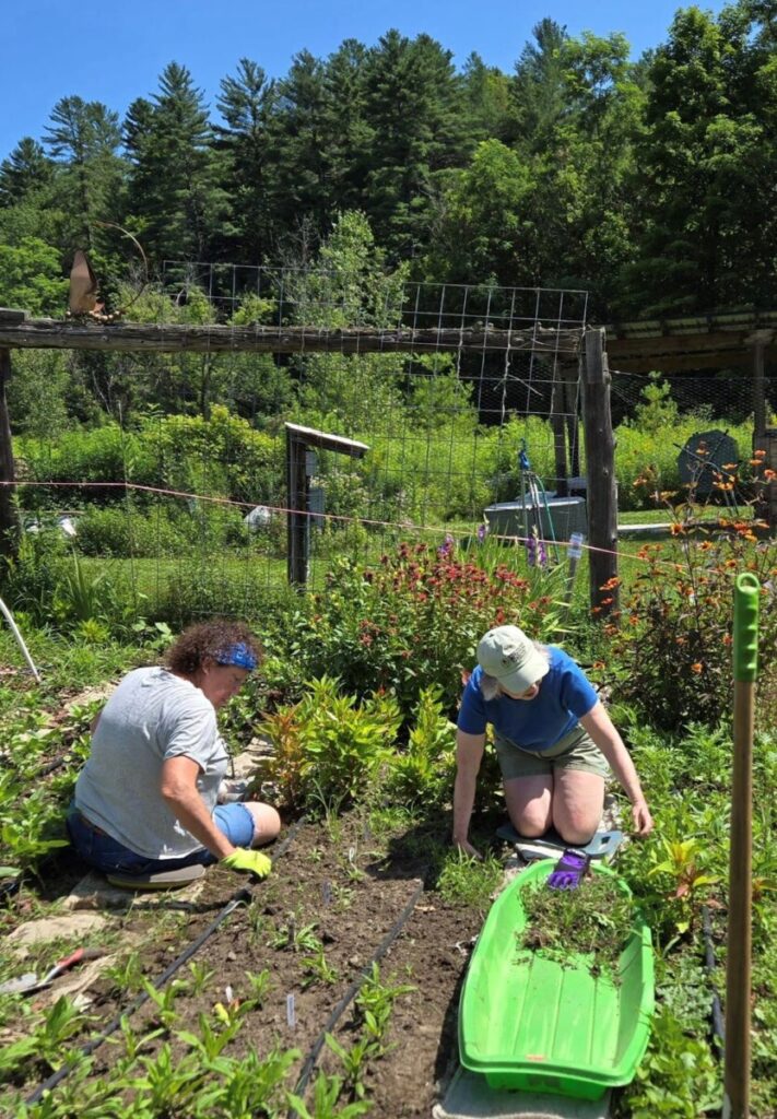 Photo shows two gardeners on the ground, planting and weeding