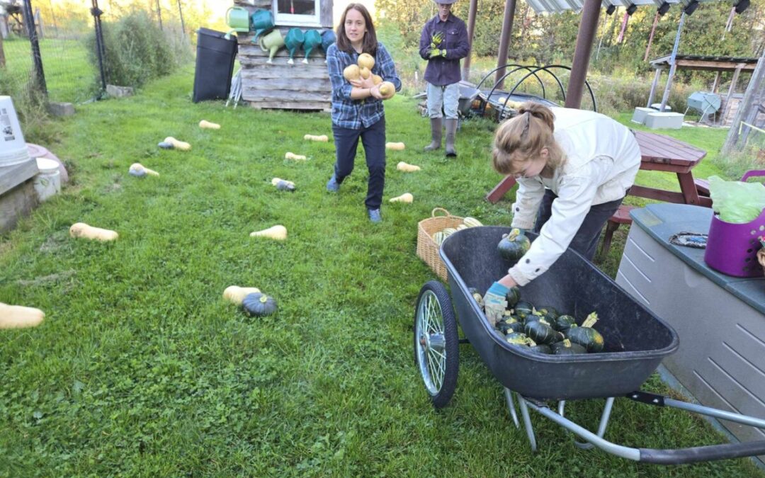 Cold-Weather Squash Scramble