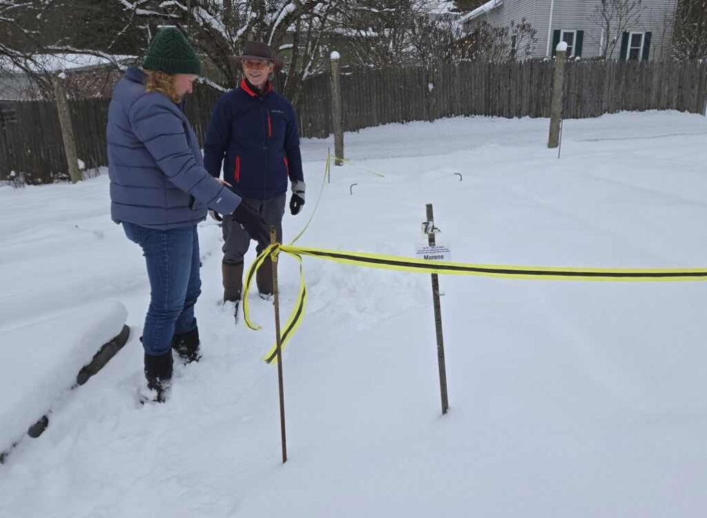 Two people wearing winter outerwear stand in a snow-covered garden beside a bed marked off with yellow tape.