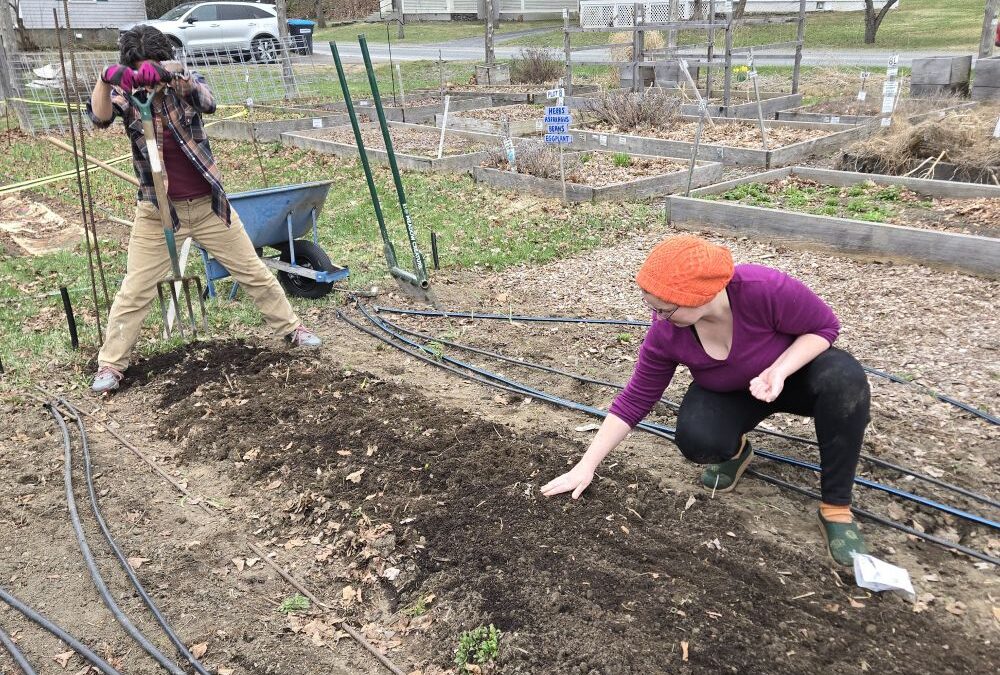 Early Garden Doings and Growings