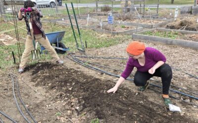 Early Garden Doings and Growings