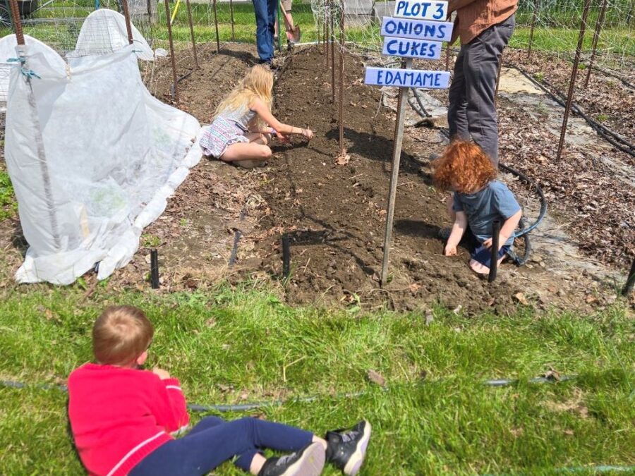 Families Plant Edamame on Father’s Day