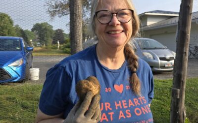 Harvesting Deliciousness: Potatoes and Onions