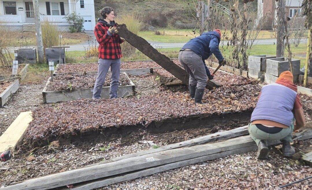 Gardeners Rebuild Raised Beds