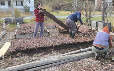 Gardeners Rebuild Raised Beds